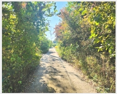  2024Ÿ40057  ֽ  õ2 376-22      (1)