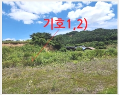  2024Ÿ��3140 ���� ���ֱ� �ȼ��� ������ 340-2      ����(��1)���