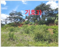  2024Ÿ��3140 ���� ���ֱ� �ȼ��� ������ 340-2      ����(��1)���