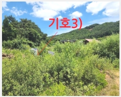  2024Ÿ��3140 ���� ���ֱ� �ȼ��� ������ 340-2      ����(��1)���