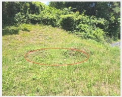  2024Ÿ��3140 ���� ���ֱ� �ȼ��� ������ 340-2      ����(��1)���