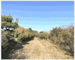  2024Ÿ��3881  ����