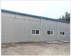  2024Ÿ6460    796-19       