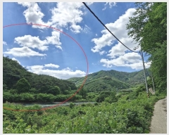  2024Ÿ��35031 ���� �ӽǱ� ��ġ�� ��ϸ� ��27      ����(�Ӿ�)���