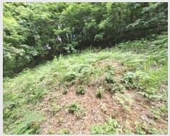  2024Ÿ��35031 ���� �ӽǱ� ��ġ�� ��ϸ� ��27      ����(�Ӿ�)���