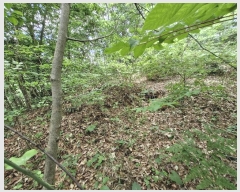  2024Ÿ��35031 ���� �ӽǱ� ��ġ�� ��ϸ� ��27      ����(�Ӿ�)���