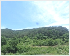  2024Ÿ��35031 ���� �ӽǱ� ��ġ�� ��ϸ� ��27      ����(�Ӿ�)���