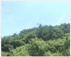  2024Ÿ��35031 ���� �ӽǱ� ��ġ�� ��ϸ� ��27      ����(�Ӿ�)���