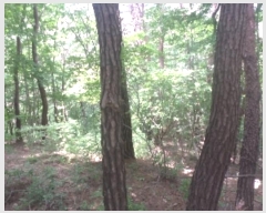  2024Ÿ��35031 ���� �ӽǱ� ��ġ�� ��ϸ� ��27      ����(�Ӿ�)���