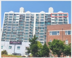  2024Ÿ��1437  �ٸ��ü����