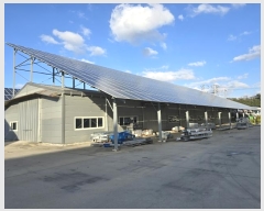  2024Ÿ��3808  ������