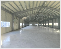  2024Ÿ��3808  ������