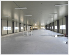  2024Ÿ��3808  ������