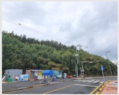  2024Ÿ��3853 ���� ����� ������ �������� ��37      ����(�Ӿ�)���