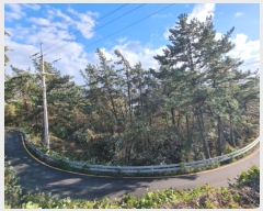  2024Ÿ��3853 ���� ����� ������ �������� ��37      ����(�Ӿ�)���