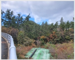  2024Ÿ��3853 ���� ����� ������ �������� ��37      ����(�Ӿ�)���