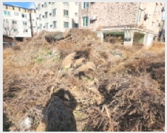  2024Ÿ��4276  �������