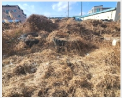  2024Ÿ��4276  �������