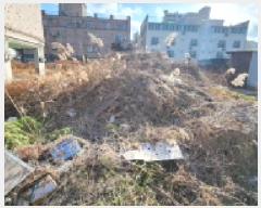  2024Ÿ��4276  �������