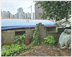  2024Ÿ��23833 ���� �ͻ�� ���е� 343-96       ����(��1)���