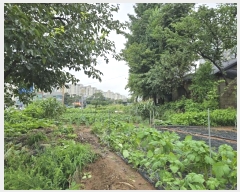  2024Ÿ��23833 ���� �ͻ�� ���е� 343-96       ����(��1)���