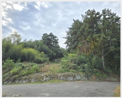  2024Ÿ��27262  �Ӿ߰��