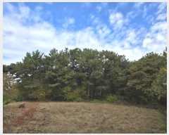  2024Ÿ��27262  �Ӿ߰��