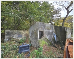  2024Ÿ��27262  �Ӿ߰��