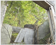  2024Ÿ��27262  �Ӿ߰��