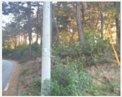  2024Ÿ��27262  �Ӿ߰��