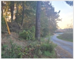  2024Ÿ��27262  �Ӿ߰��