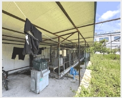  2024Ÿ809   ĵ 859-10       