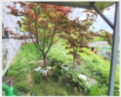  2024Ÿ��1390 ���� �ͻ�� ���ﵿ 221-1       ���ð��