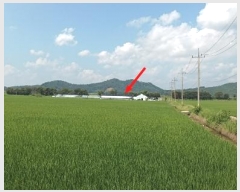  2024Ÿ25488  ͻ  â 837-4      ()