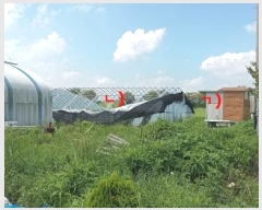  2024Ÿ25488  ͻ  â 837-4      ()