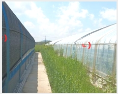  2024Ÿ25488  ͻ  â 837-4      ()