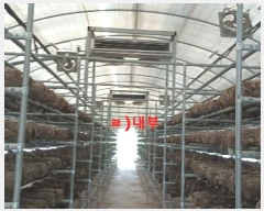  2024Ÿ25488  ͻ  â 837-4      ()