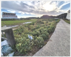  2024Ÿ��26610 ���� ����� ����� ��ϸ� 604-4      ����(��)���