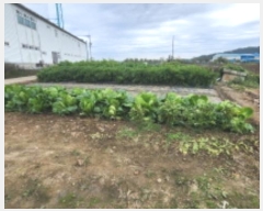  2024Ÿ��26610 ���� ����� ����� ��ϸ� 604-4      ����(��)���