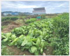  2024Ÿ��26610 ���� ����� ����� ��ϸ� 604-4      ����(��)���