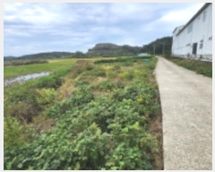  2024Ÿ��26610 ���� ����� ����� ��ϸ� 604-4      ����(��)���