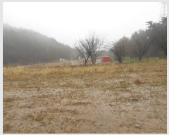  2024Ÿ��502 ���� ����� ���Ǹ� ��â�� 918      ����(�������)���