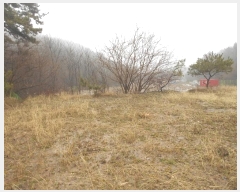  2024Ÿ��502 ���� ����� ���Ǹ� ��â�� 918      ����(�������)���