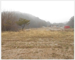  2024Ÿ��502 ���� ����� ���Ǹ� ��â�� 918      ����(�������)���