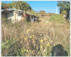  2024Ÿ��3488  �������