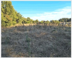  2024Ÿ��3488  �������