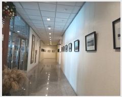  2024Ÿ27538    71, 2203ȣ      ,繫ǰ