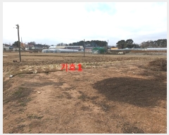  2024Ÿ27736  ͻ ȸ ۻ긮 335-2      (1)