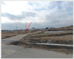  2024Ÿ27736  ͻ ȸ ۻ긮 335-2      (1)