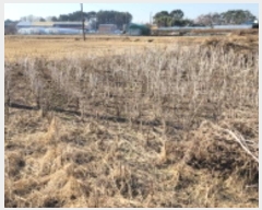  2024Ÿ27736  ͻ ȸ ۻ긮 335-2      (1)